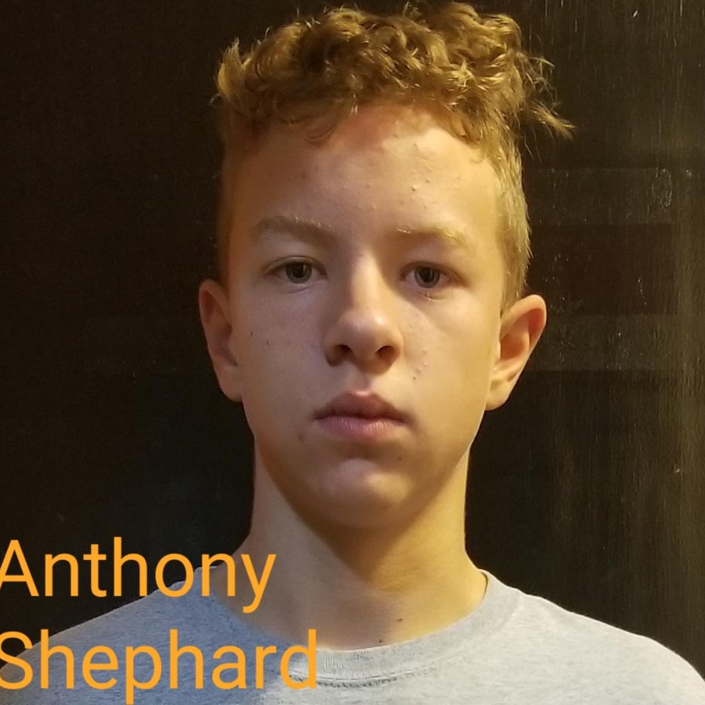 Anthony Shephard mugshot