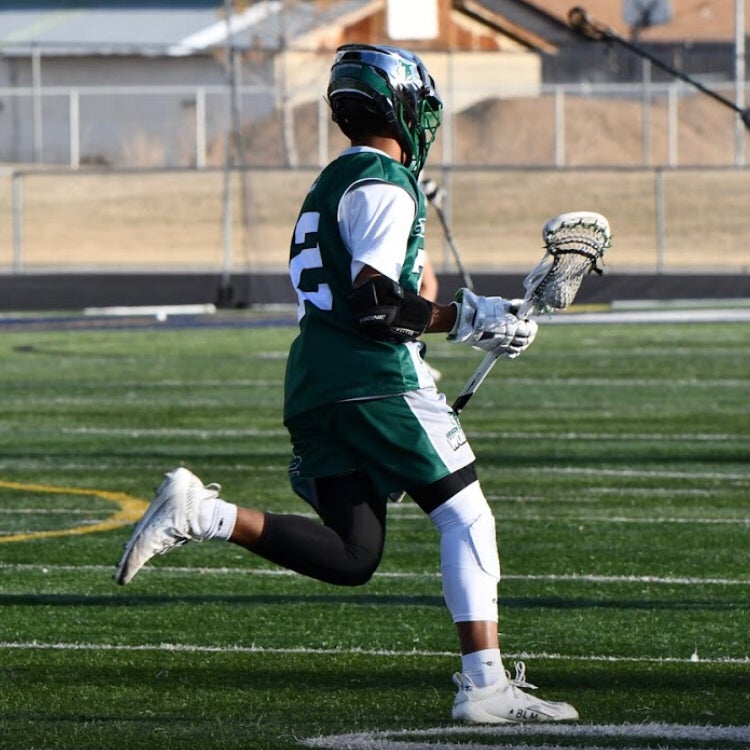 Harrison Todd