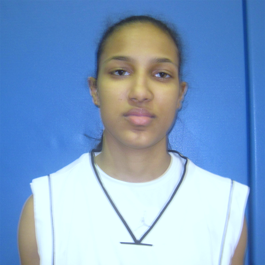 OMARELIN PAULINO mugshot