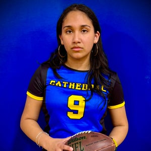 Dezulay Vergara mugshot