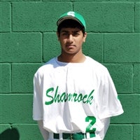 Mitesh Patel mugshot