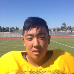 Chris Son mugshot
