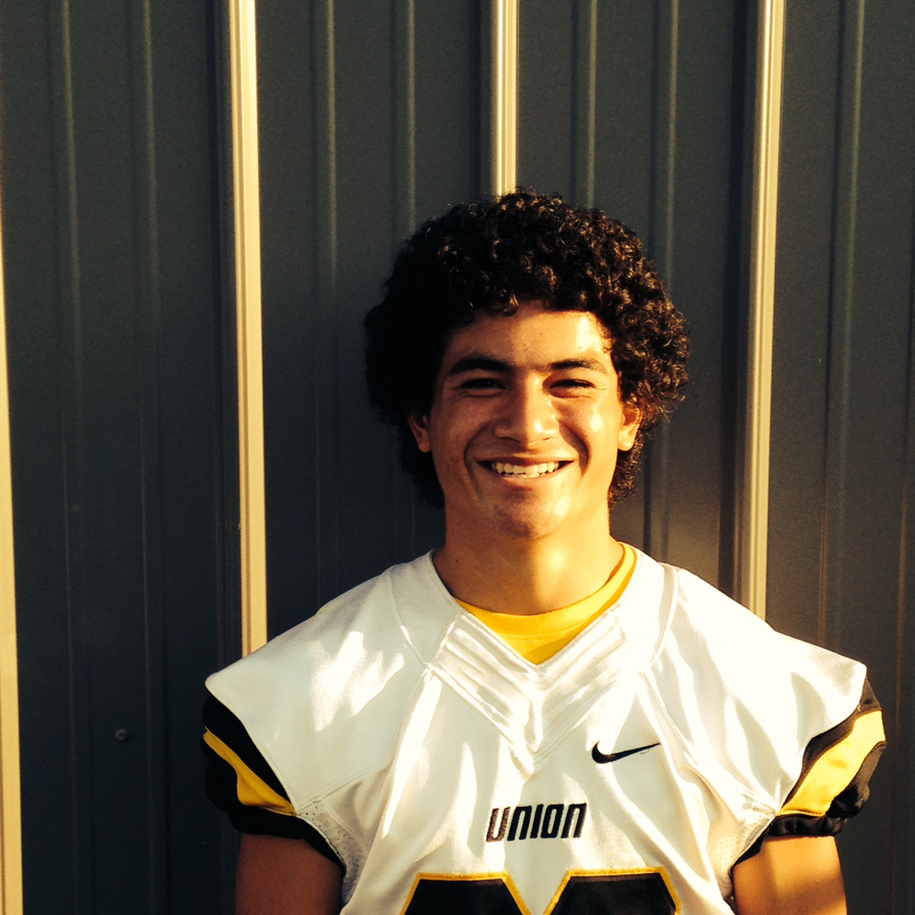 Vaihoi Lutui mugshot
