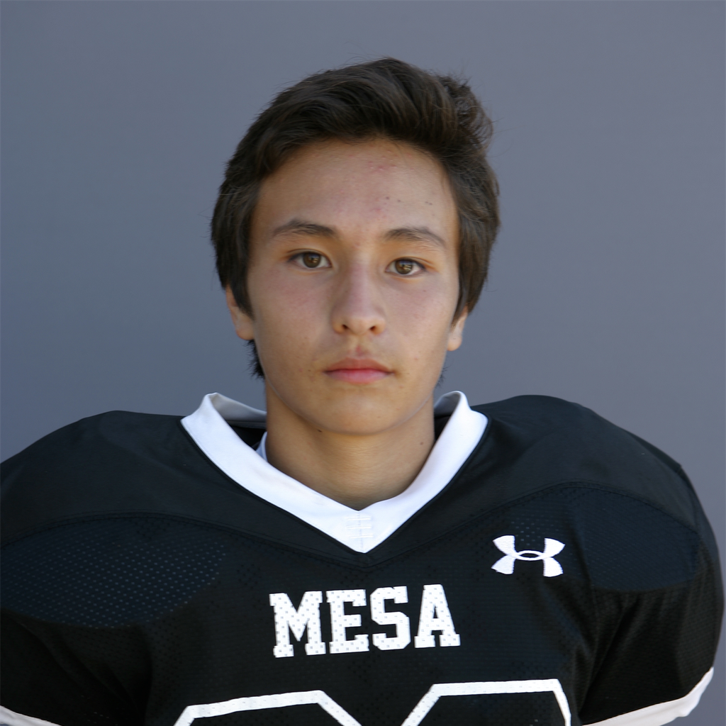 Luke Tsuge mugshot