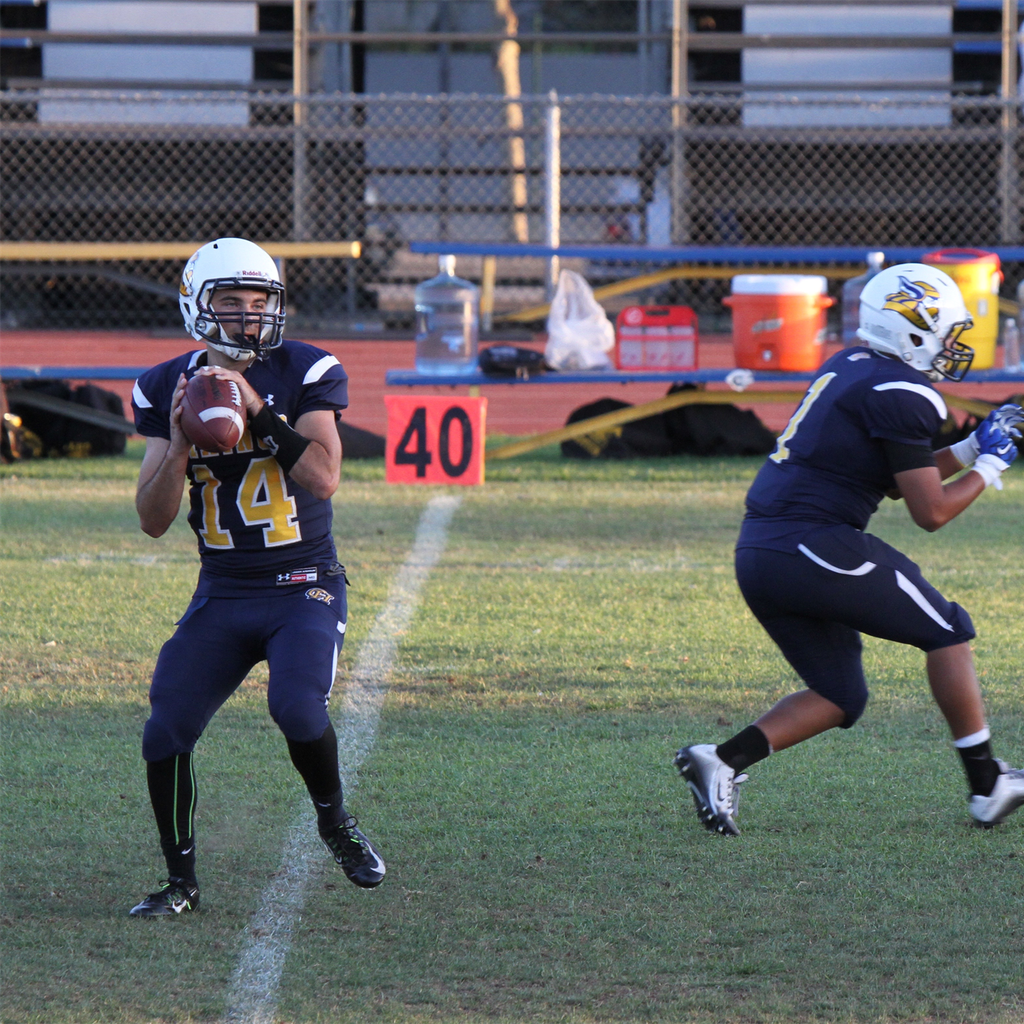 Nick Friedlich