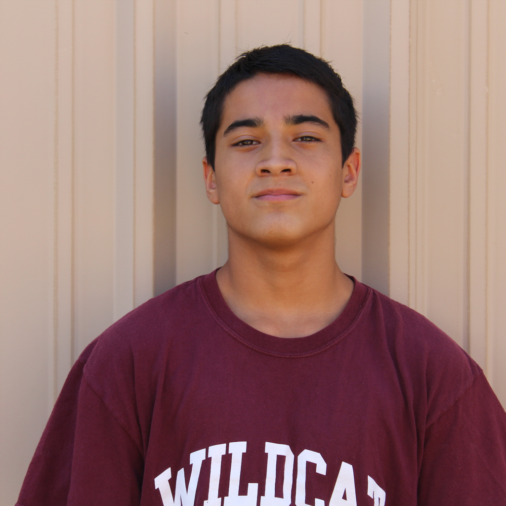 Manny Cuellar mugshot