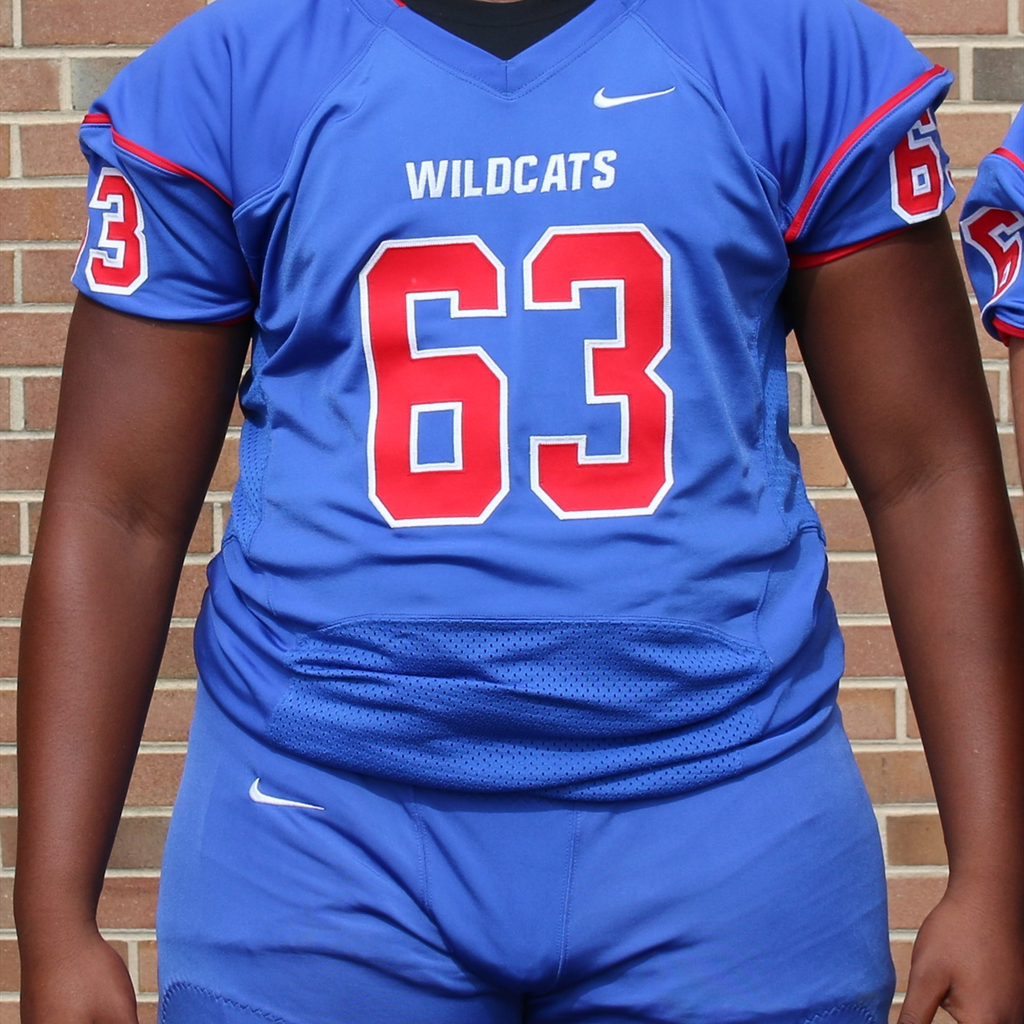 Brandon Hollowell's Dan River High School Football Stats