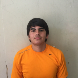 David Elmaleh mugshot