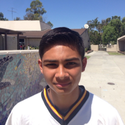 Andrew Lapena mugshot