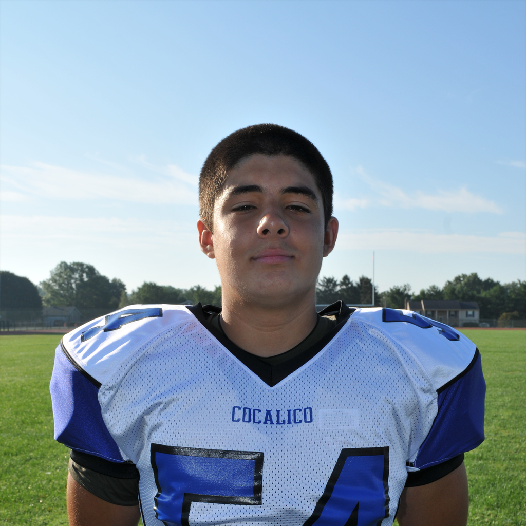 David Salcedo mugshot