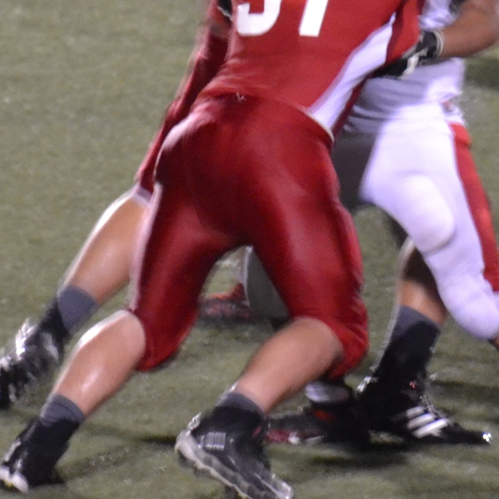 Tucker Haynes