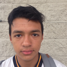 Matt Fernandez mugshot