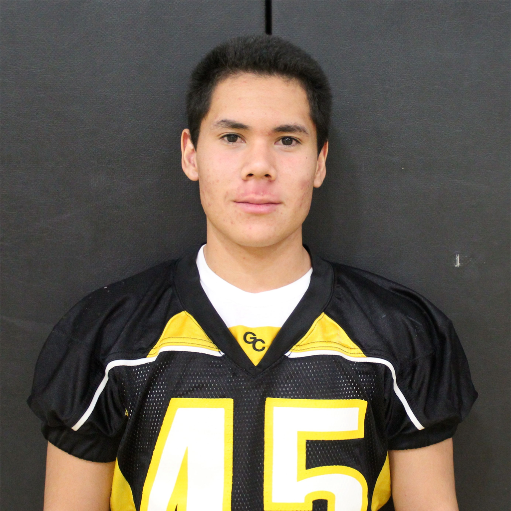 Manny Gomez mugshot