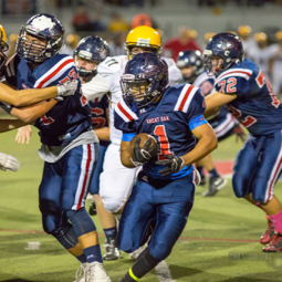 Junior Palmore