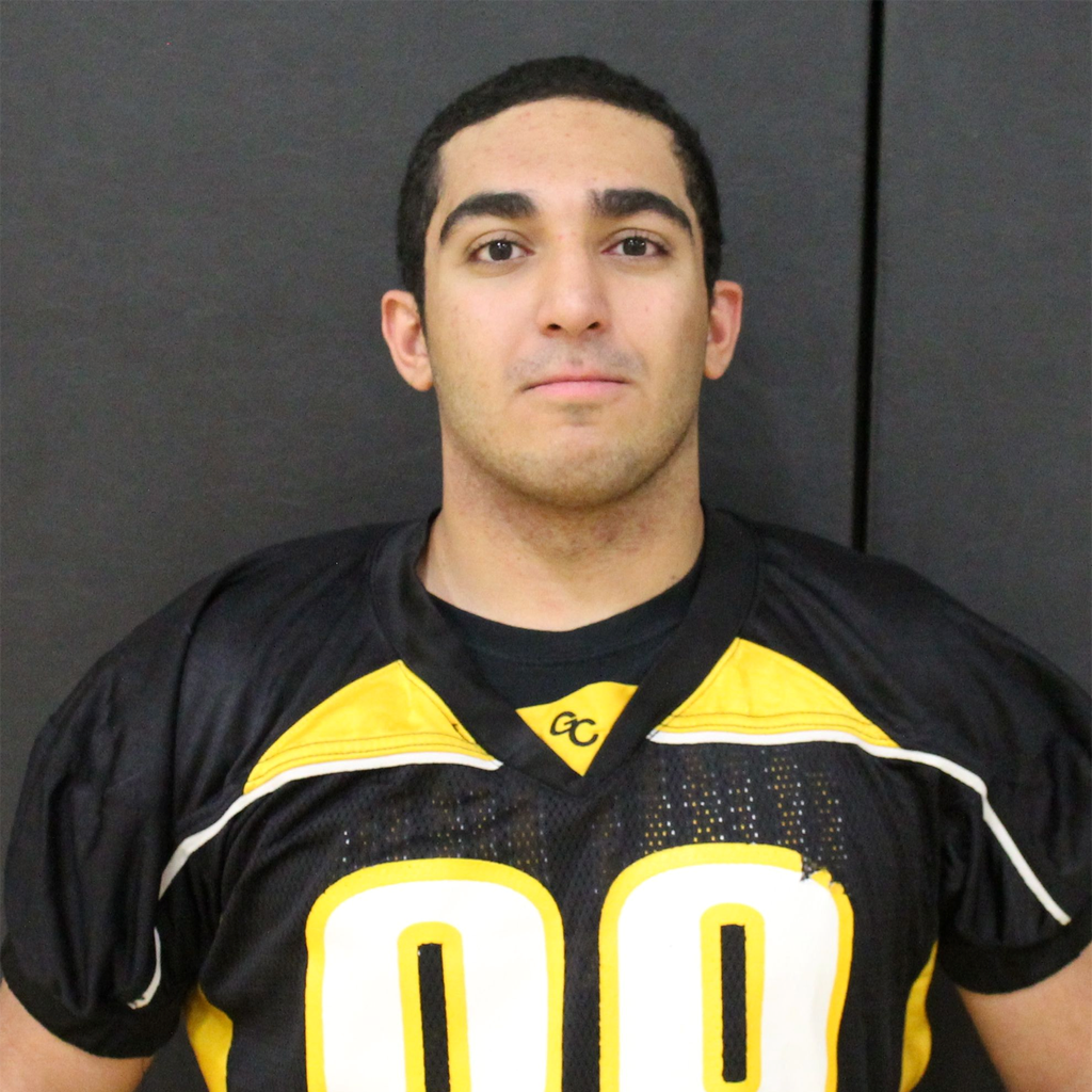 Sam Ghaffari mugshot