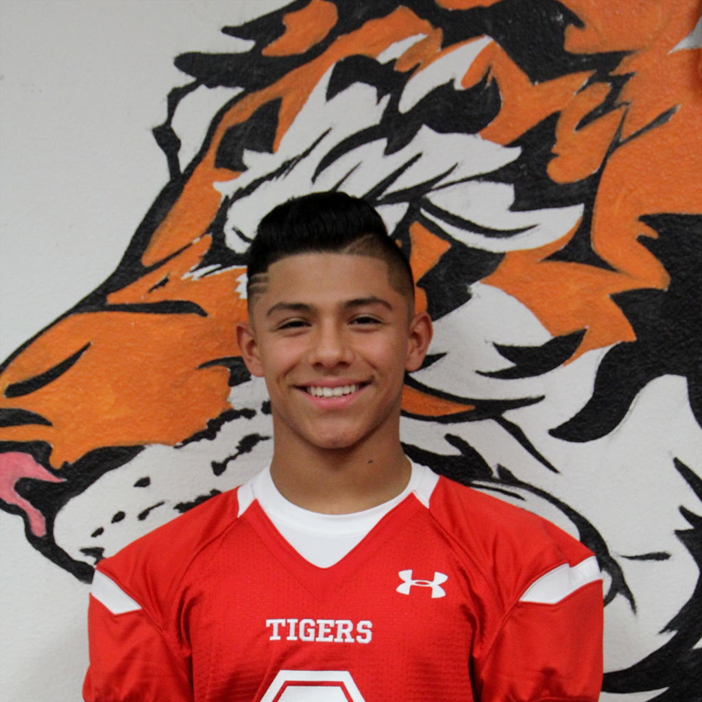 Brandon Hueso mugshot
