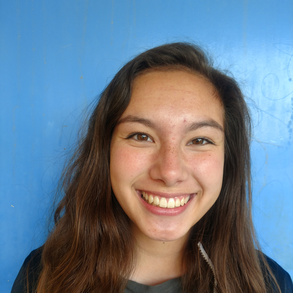 Sydney Lapham mugshot