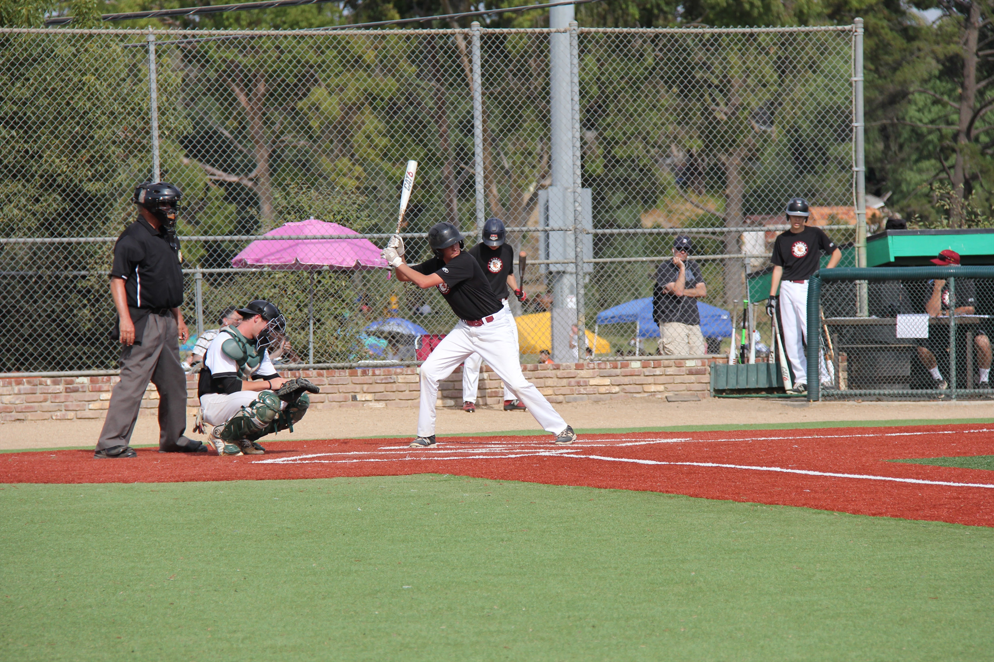 Austin Kelly