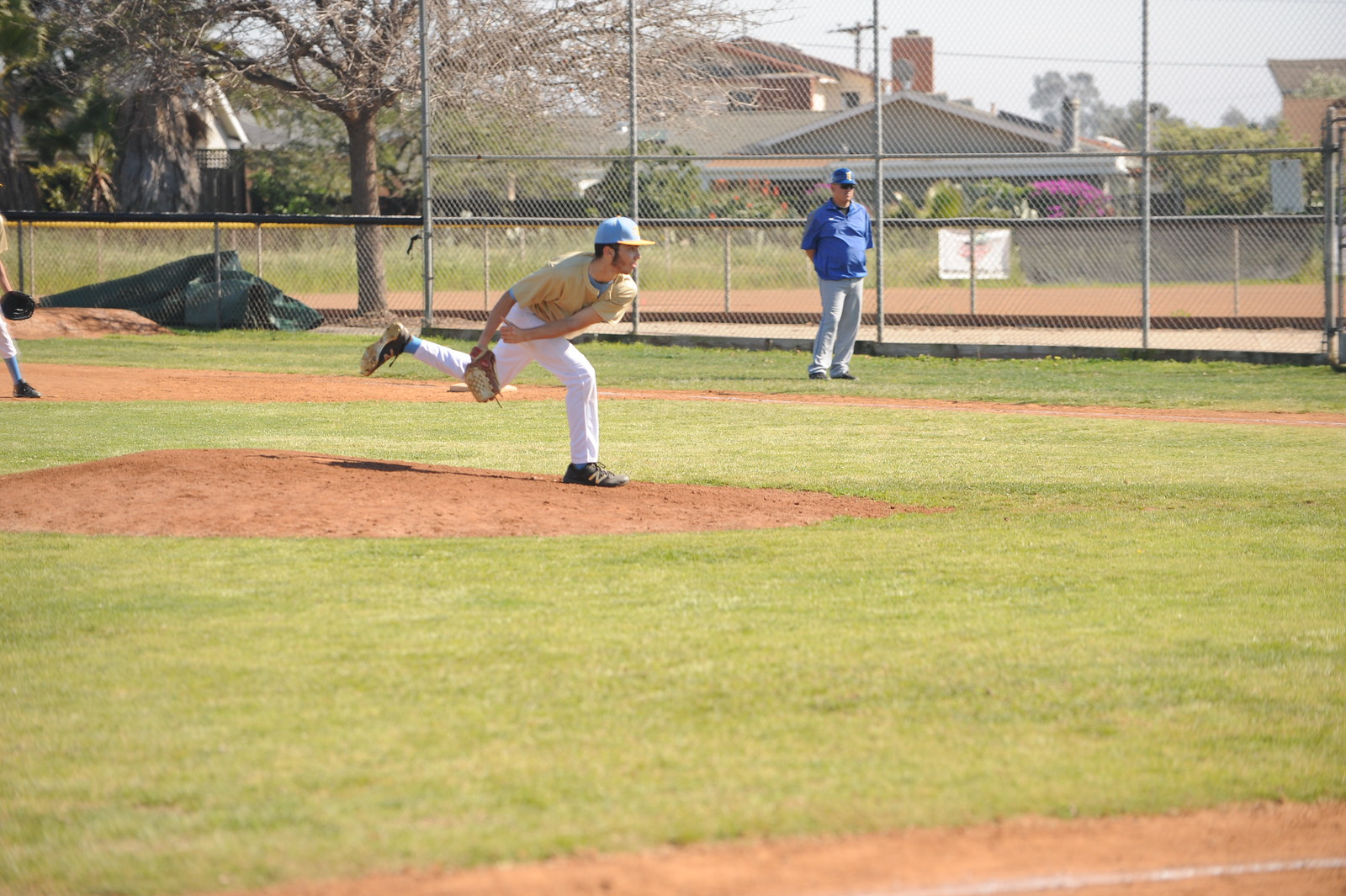 David Dalton