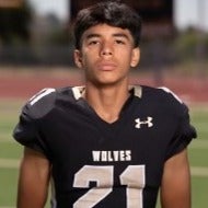 VICTOR LLAMAS mugshot