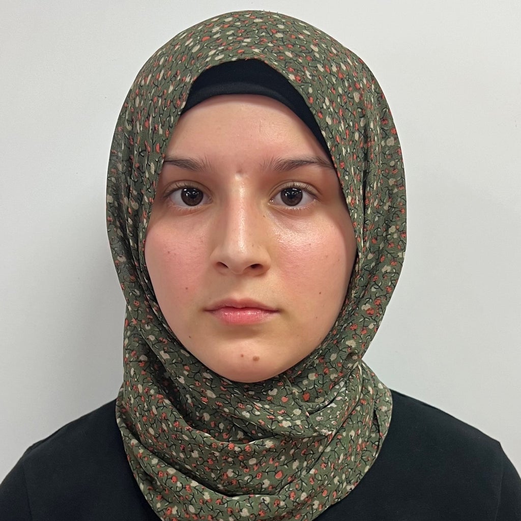 MORSAL ROUFI mugshot