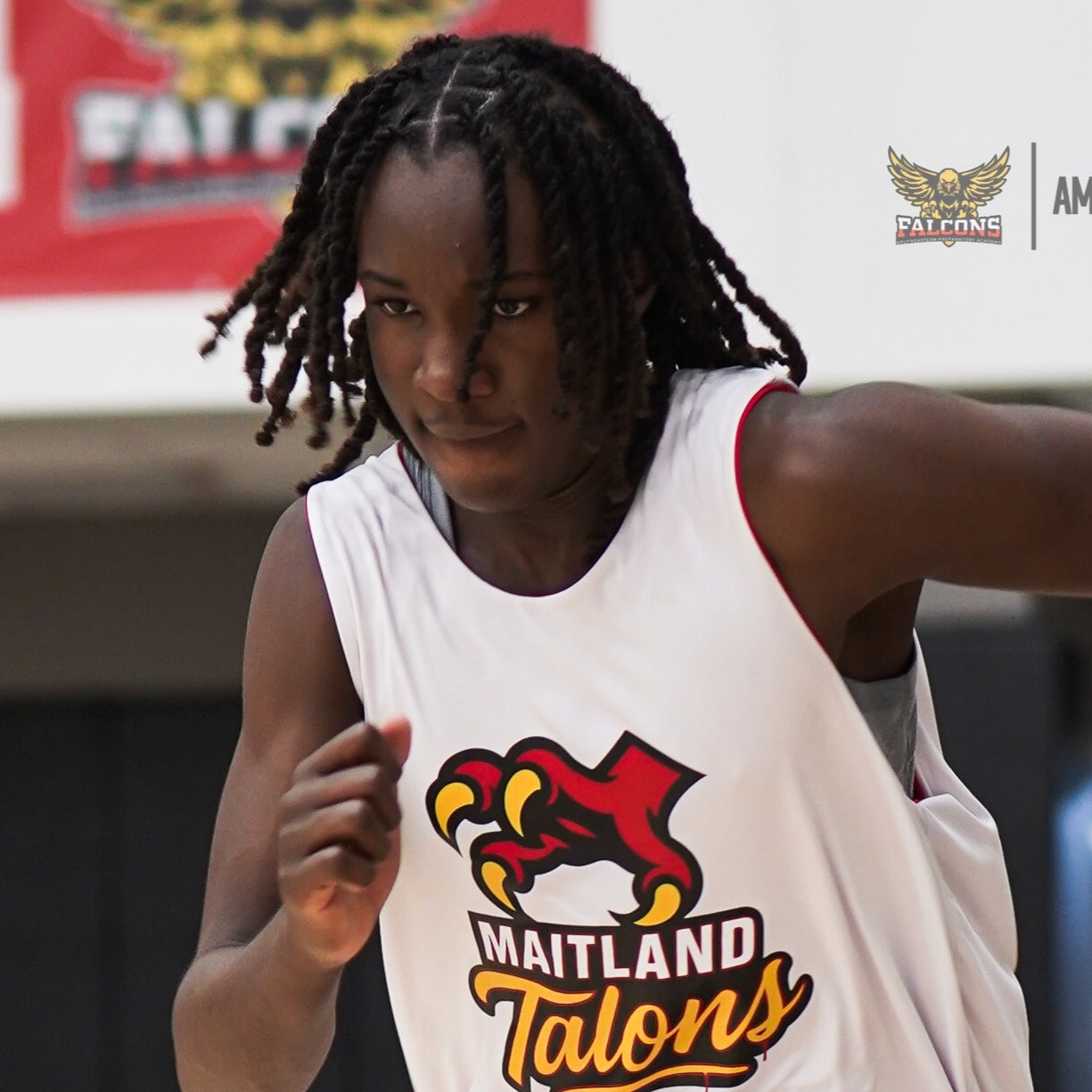 J'Vante Harrigan mugshot