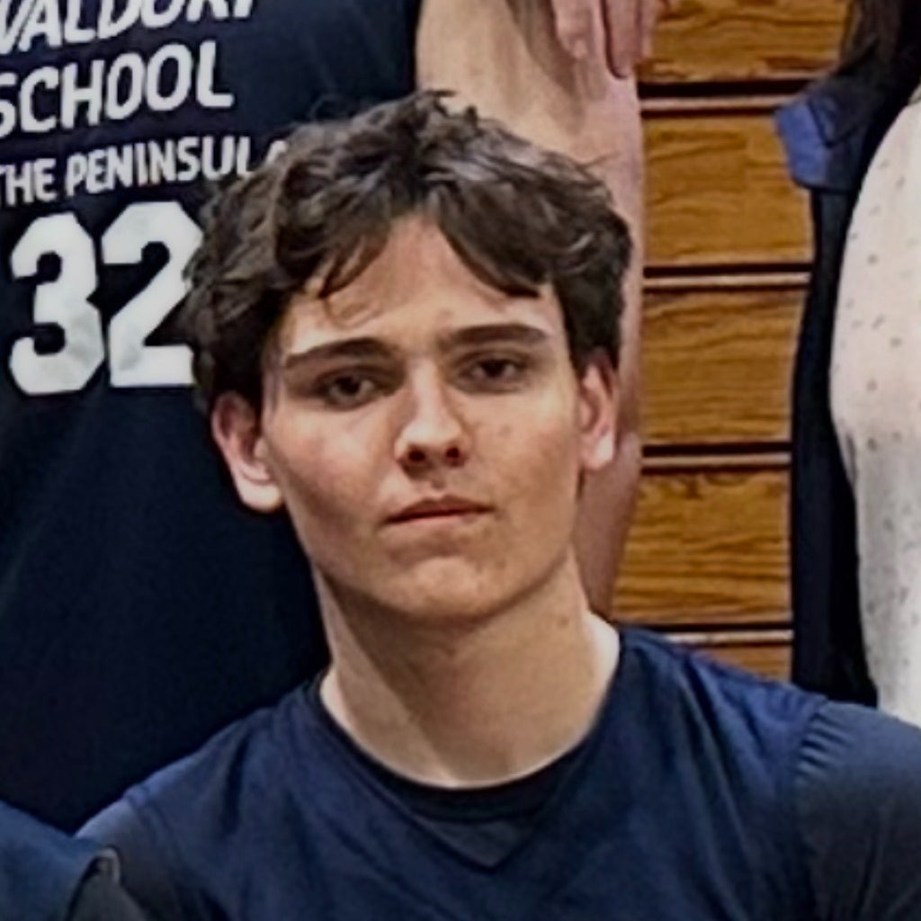 Sava Makarov mugshot