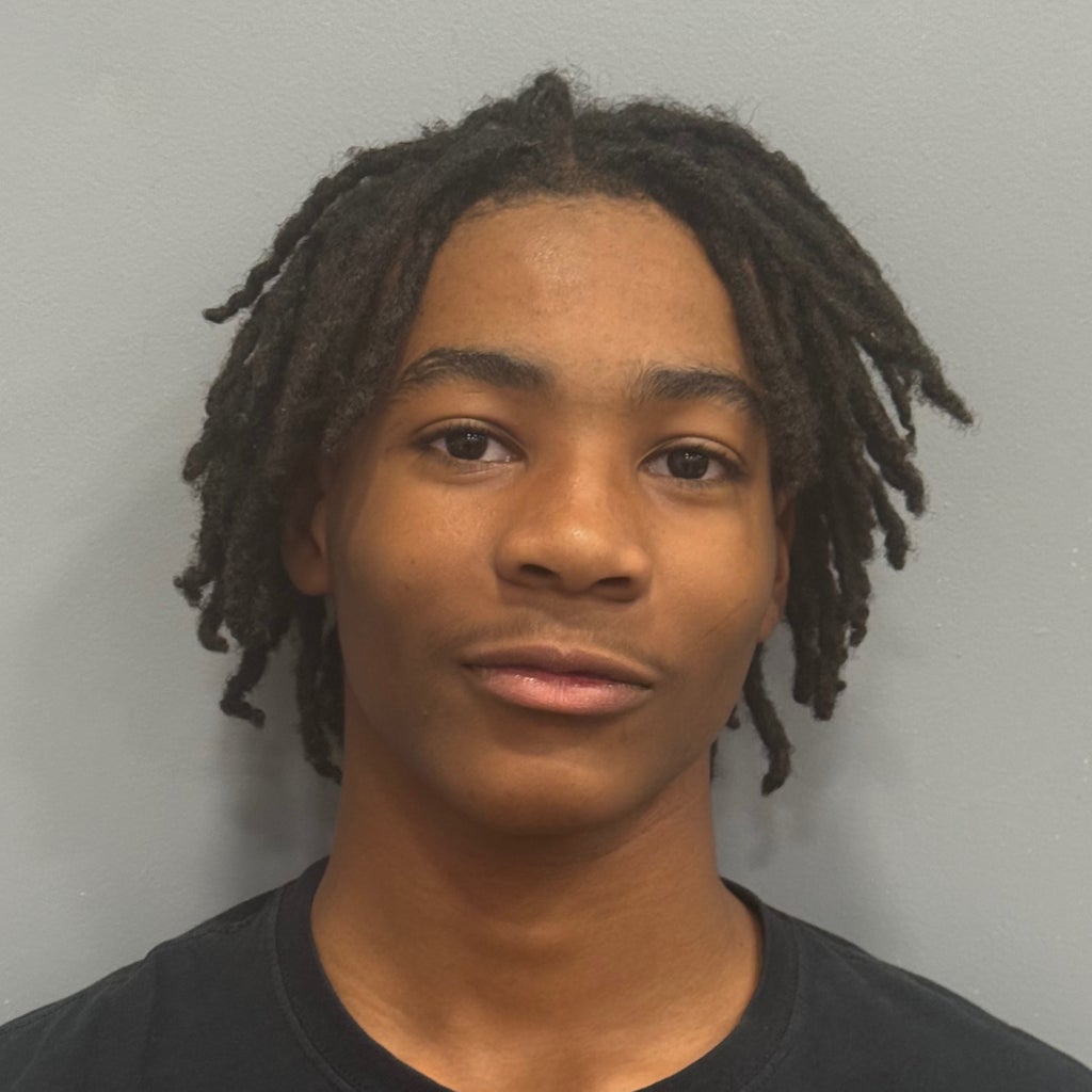 Jamarie Johnson mugshot