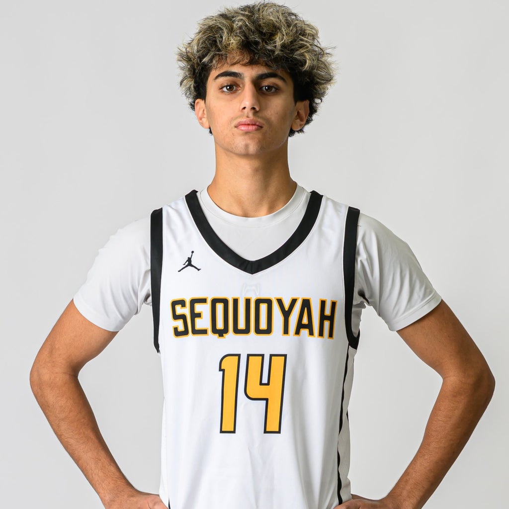 Russool Alseidi mugshot