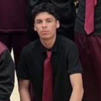 JOZIAH ALANIZ mugshot