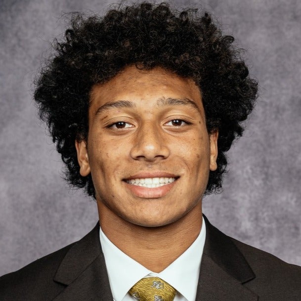 Paisios Polamalu mugshot