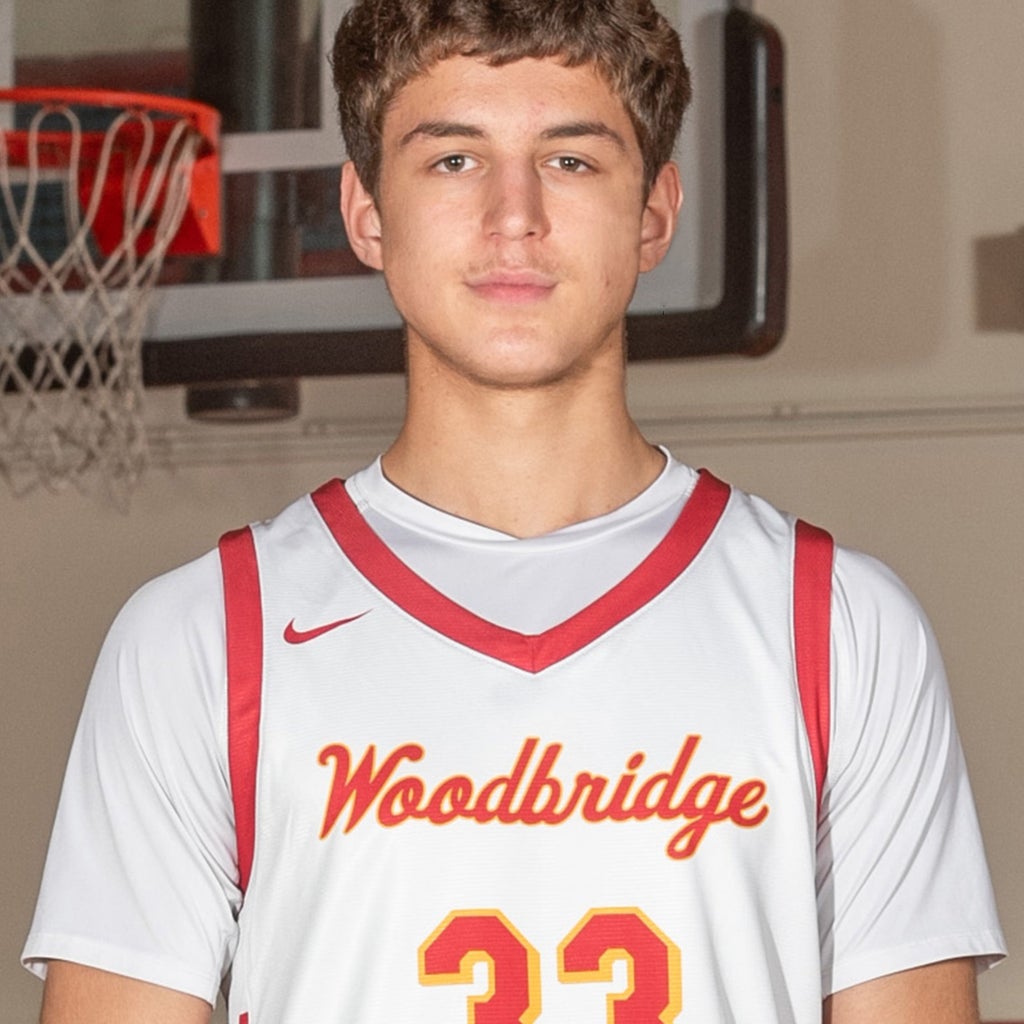 Mirza Denizmen mugshot