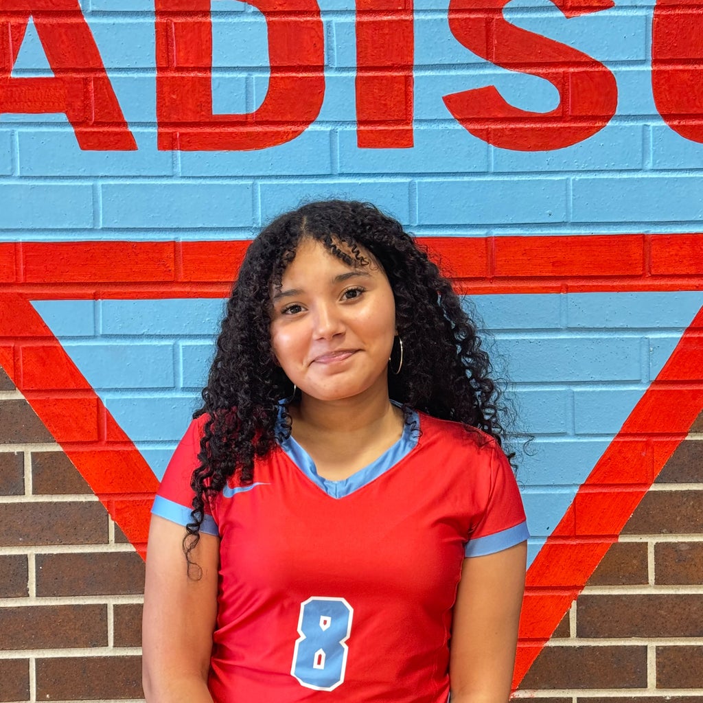 Ashley Castallenos mugshot