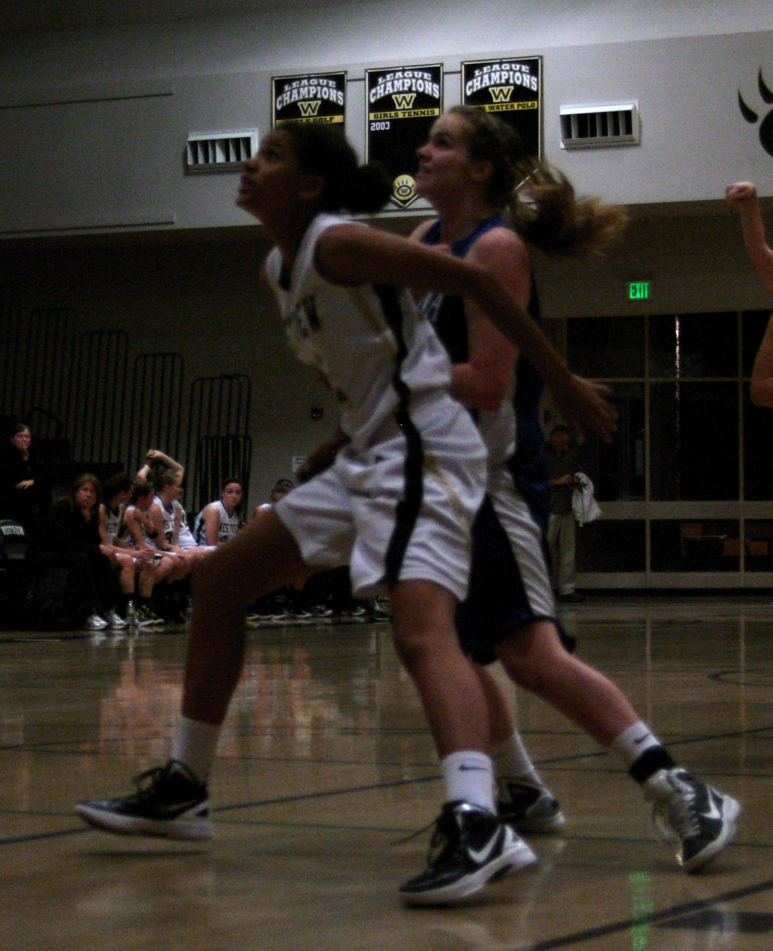 Macy Gipson