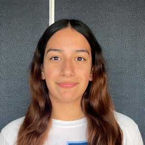 Luz Elena - Rios mugshot