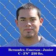 Emerson Bermudez mugshot