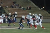 Trey Vault