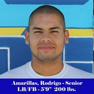 Rodrigo Amarillas mugshot