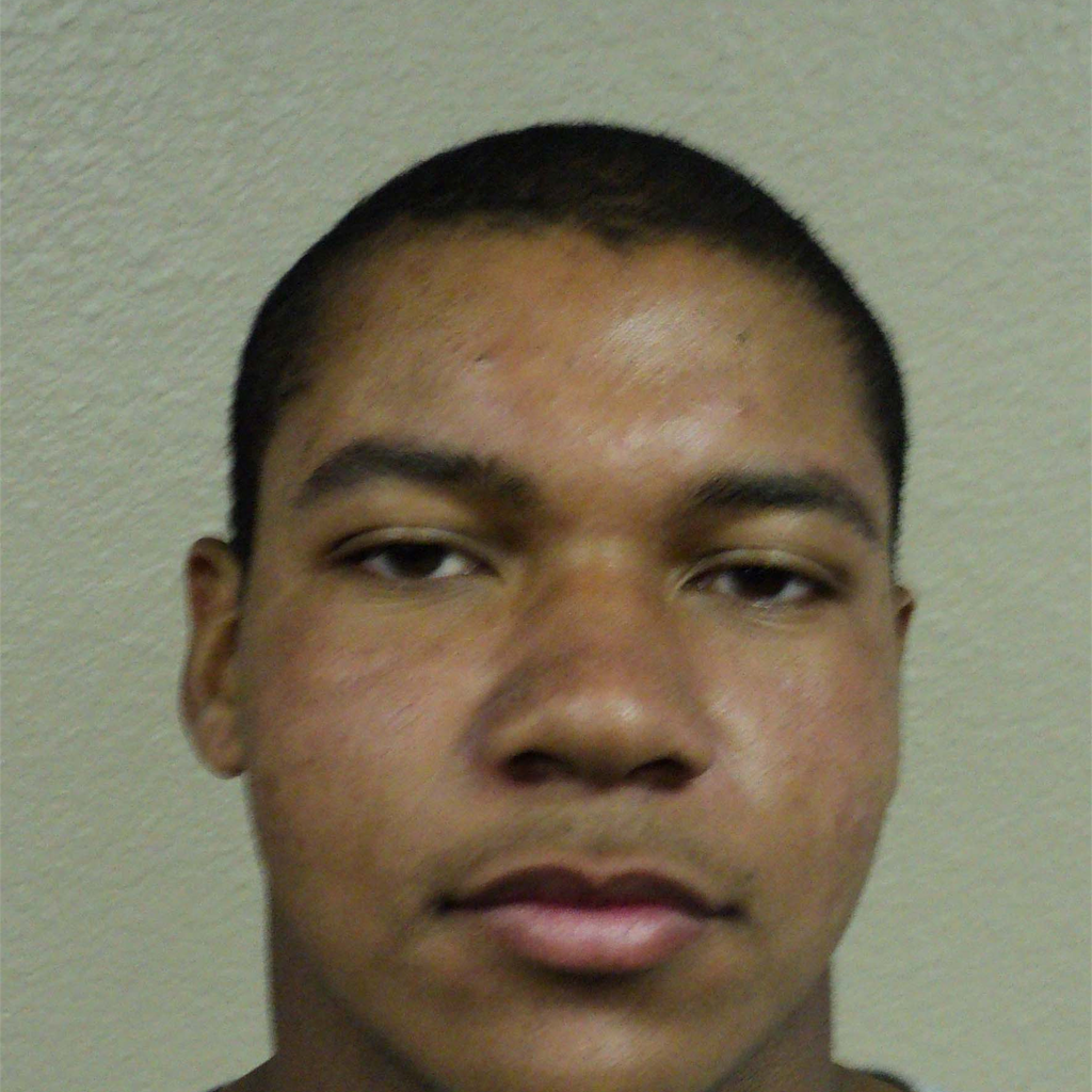 Lucas Mitchell mugshot