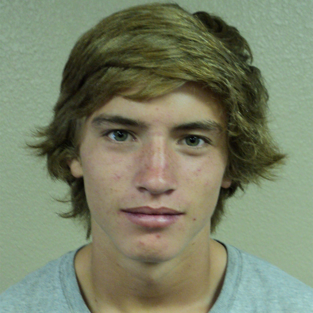 Levi Stillman mugshot