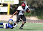 Terrence  Harts