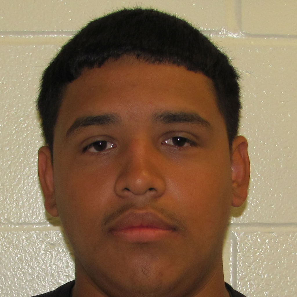 Luis Flores mugshot