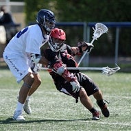 Matt Bellando
