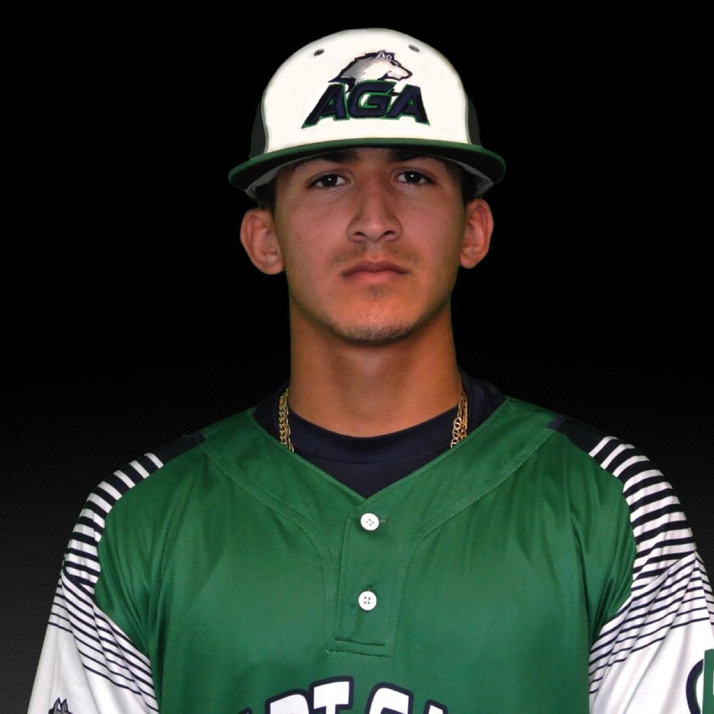 Elvin Hernandez mugshot