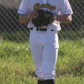W. Dreesman