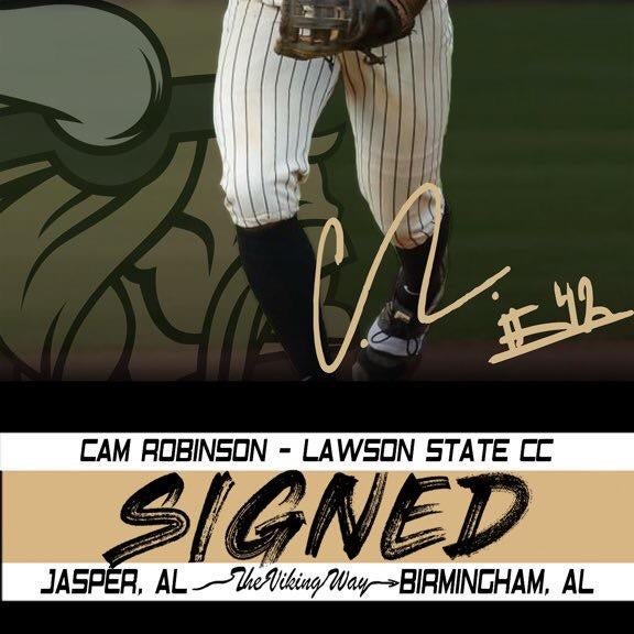 Cam Robinson