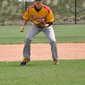 B. Shelton