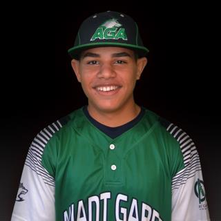 Wilson Rivera mugshot