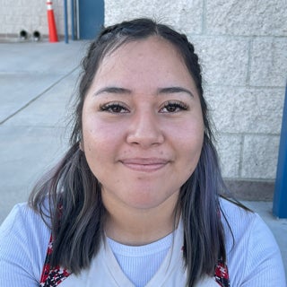 Pilar Alvarez mugshot