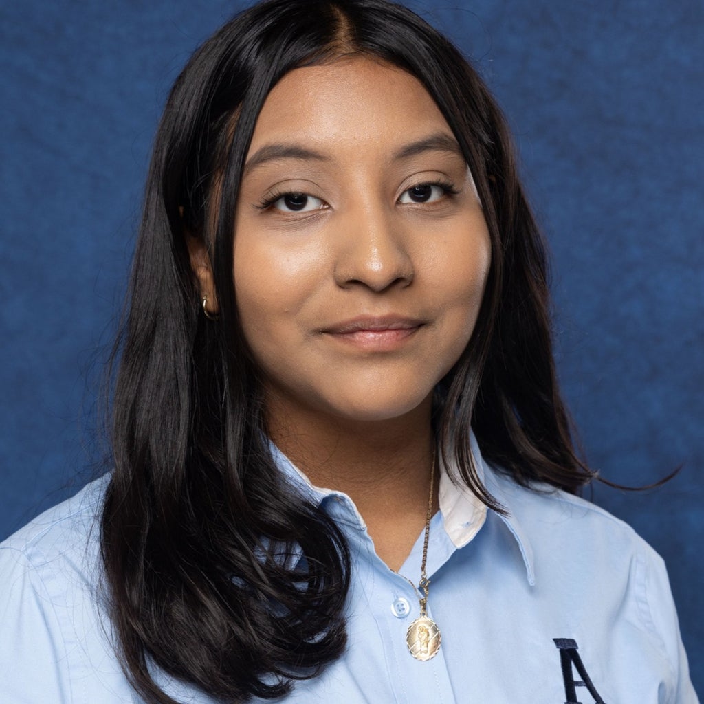 Joselin Villegas mugshot
